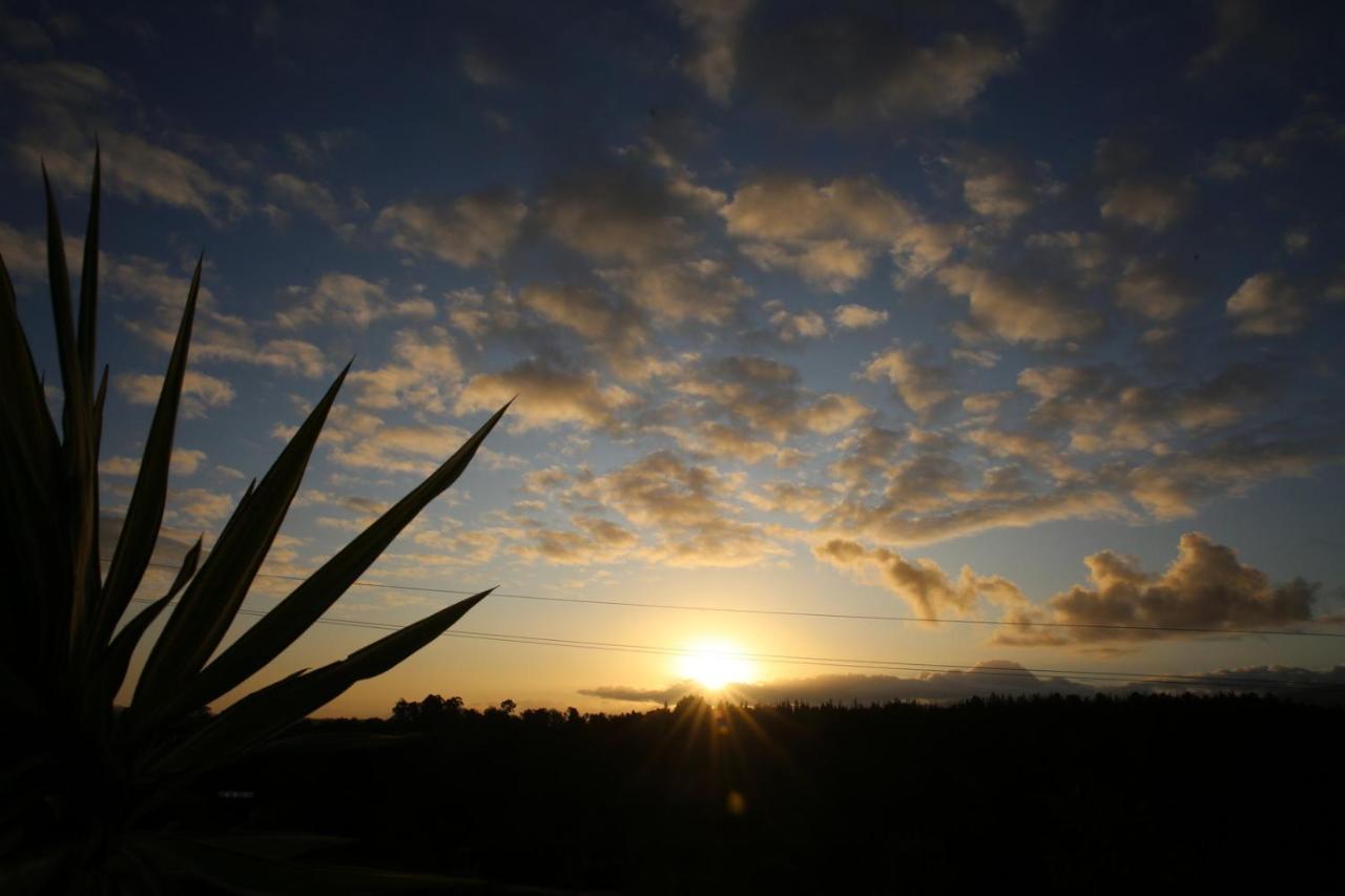 The Wild Edge Last Light Cottage Knysna Exterior photo